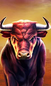 Black Bull